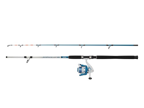 Mitchell neuron mackerel - mitchell, rod