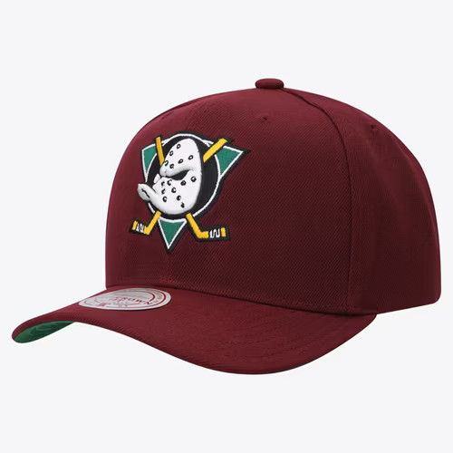 Anaheim ducks ice - ducks, hockey