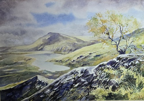 Original signed framed - signed,